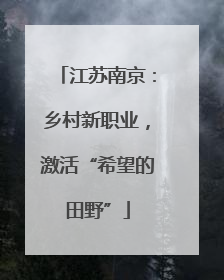 江苏南京：乡村新职业，激活“希望的田野”