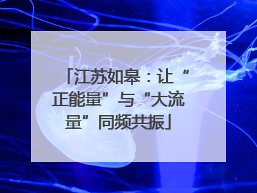 江苏如皋：让“正能量”与“大流量”同频共振