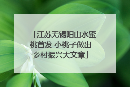 江苏无锡阳山水蜜桃首发 小桃子做出乡村振兴大文章
