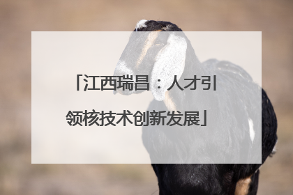 江西瑞昌：人才引领核技术创新发展