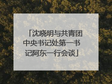 沈晓明与共青团中央书记处第一书记阿东一行会谈