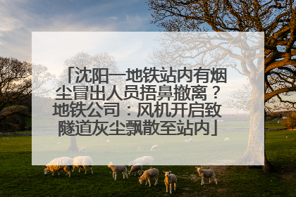 沈阳一地铁站内有烟尘冒出人员捂鼻撤离？地铁公司：风机开启致隧道灰尘飘散至站内