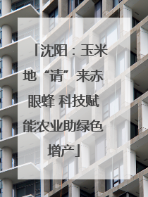 沈阳：玉米地“请”来赤眼蜂 科技赋能农业助绿色增产
