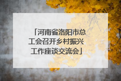 河南省洛阳市总工会召开乡村振兴工作座谈交流会
