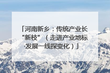 河南新乡：传统产业长“新枝”（走进产业地标·发展一线探变化）