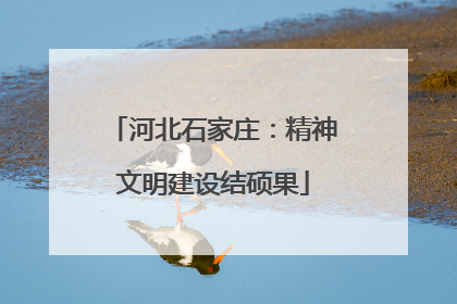 河北石家庄：精神文明建设结硕果