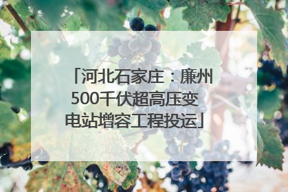 河北石家庄：廉州500千伏超高压变电站增容工程投运