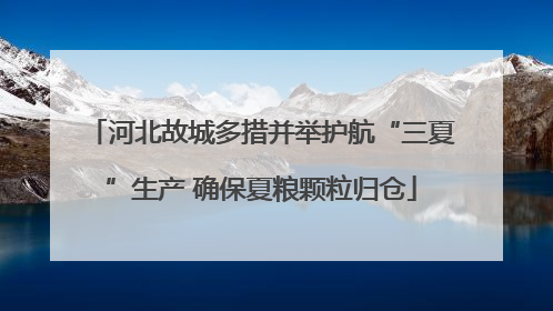 河北故城多措并举护航“三夏”生产 确保夏粮颗粒归仓