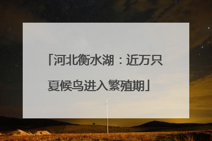 河北衡水湖：近万只夏候鸟进入繁殖期