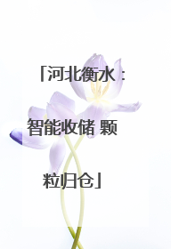 河北衡水：智能收储 颗粒归仓