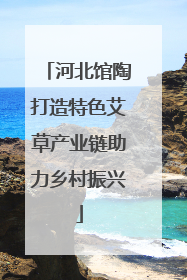 河北馆陶打造特色艾草产业链助力乡村振兴