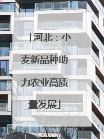河北：小麦新品种助力农业高质量发展