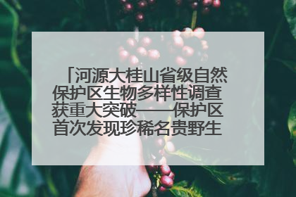河源大桂山省级自然保护区生物多样性调查获重大突破——保护区首次发现珍稀名贵野生干巴菌与钝尾两头蛇