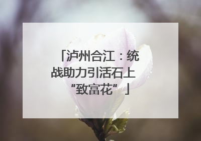 泸州合江：统战助力引活石上“致富花”