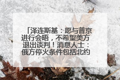 泽连斯基：愿与普京进行会晤，不希望美方退出谈判！消息人士：俄方停火条件包括北约“书面”保证不东扩