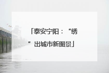 泰安宁阳：“绣”出城市新图景