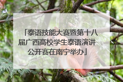 泰语技能大赛暨第十八届广西高校学生泰语演讲公开赛在南宁举办
