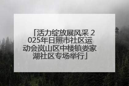 活力绽放展风采 2025年日照市社区运动会岚山区中楼镇娄家湖社区专场举行