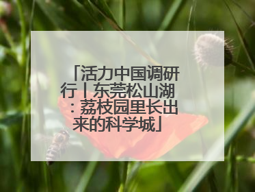 活力中国调研行丨东莞松山湖：荔枝园里长出来的科学城