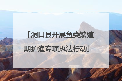 洞口县开展鱼类繁殖期护渔专项执法行动
