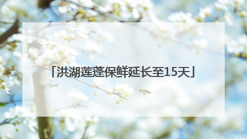 洪湖莲蓬保鲜延长至15天