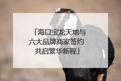 海口宝龙天地与六大品牌商家签约 共启繁华新程