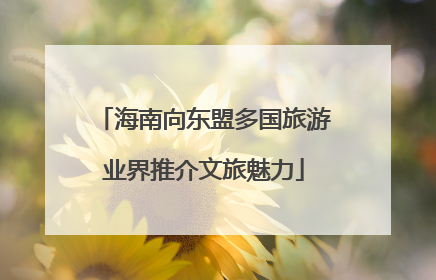 海南向东盟多国旅游业界推介文旅魅力
