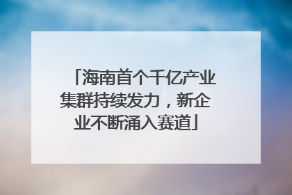 海南首个千亿产业集群持续发力，新企业不断涌入赛道