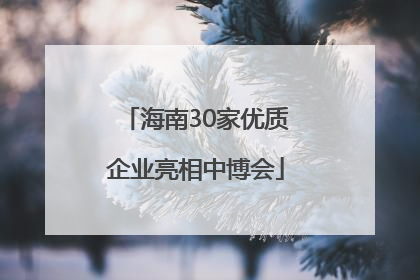 海南30家优质企业亮相中博会