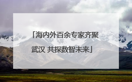 海内外百余专家齐聚武汉 共探数智未来