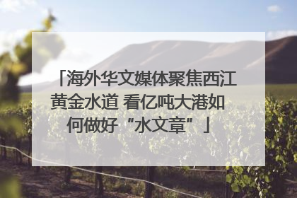 海外华文媒体聚焦西江黄金水道 看亿吨大港如何做好“水文章”