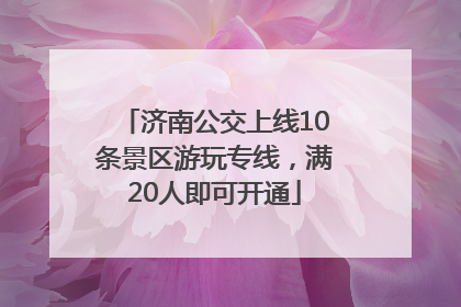 济南公交上线10条景区游玩专线，满20人即可开通