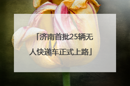 济南首批25辆无人快递车正式上路