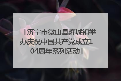 济宁市微山县驩城镇举办庆祝中国共产党成立104周年系列活动