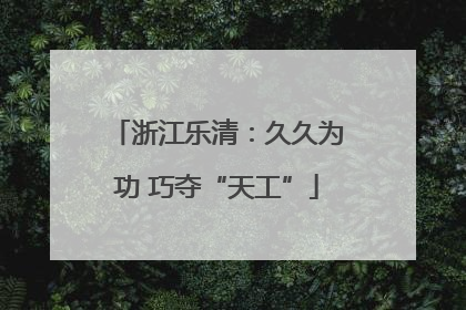 浙江乐清：久久为功 巧夺“天工”