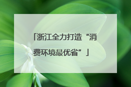 浙江全力打造“消费环境最优省”