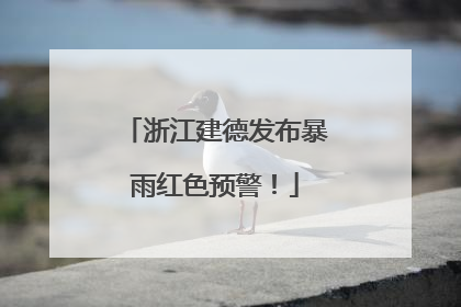 浙江建德发布暴雨红色预警！