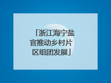 浙江海宁盐官推动乡村片区组团发展