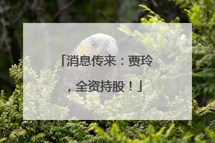 消息传来：贾玲，全资持股！