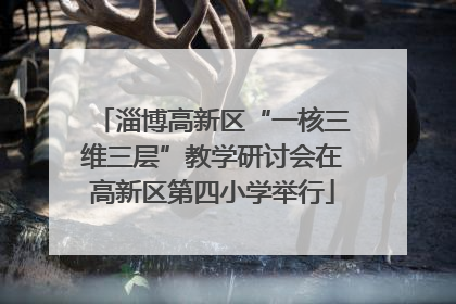 淄博高新区“一核三维三层”教学研讨会在高新区第四小学举行