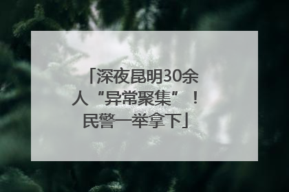 深夜昆明30余人“异常聚集”！民警一举拿下