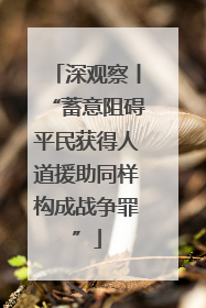 深观察丨“蓄意阻碍平民获得人道援助同样构成战争罪”