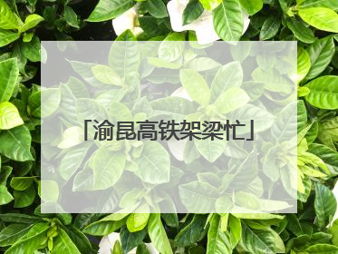 渝昆高铁架梁忙