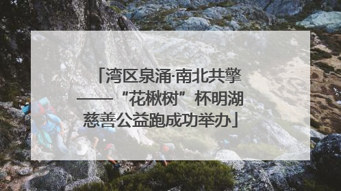 湾区泉涌·南北共擎——“花楸树”杯明湖慈善公益跑成功举办