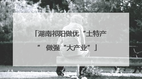 湖南祁阳做优“土特产” 做强“大产业”