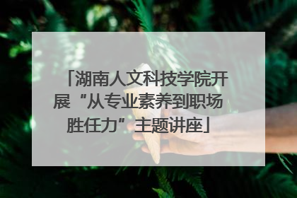 湖南人文科技学院开展“从专业素养到职场胜任力”主题讲座