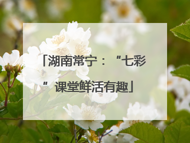 湖南常宁：“七彩”课堂鲜活有趣