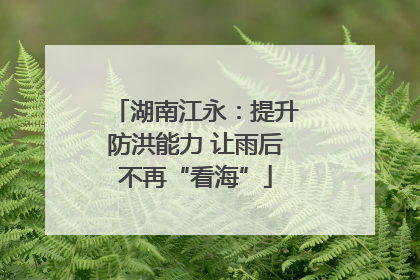 湖南江永：提升防洪能力 让雨后不再“看海”