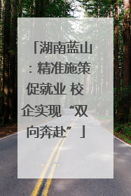 湖南蓝山：精准施策促就业 校企实现“双向奔赴”