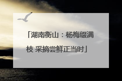 湖南衡山：杨梅缀满枝 采摘尝鲜正当时